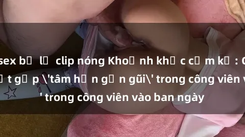 sex bị lộ clip nóng Khoảnh khắc cấm kỵ: Cặp đôi bị bắt gặp 'tâm hồn gần gũi' trong công viên vào ban ngày